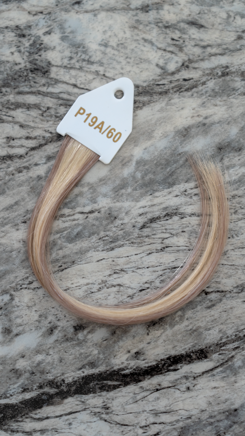 P19A/60