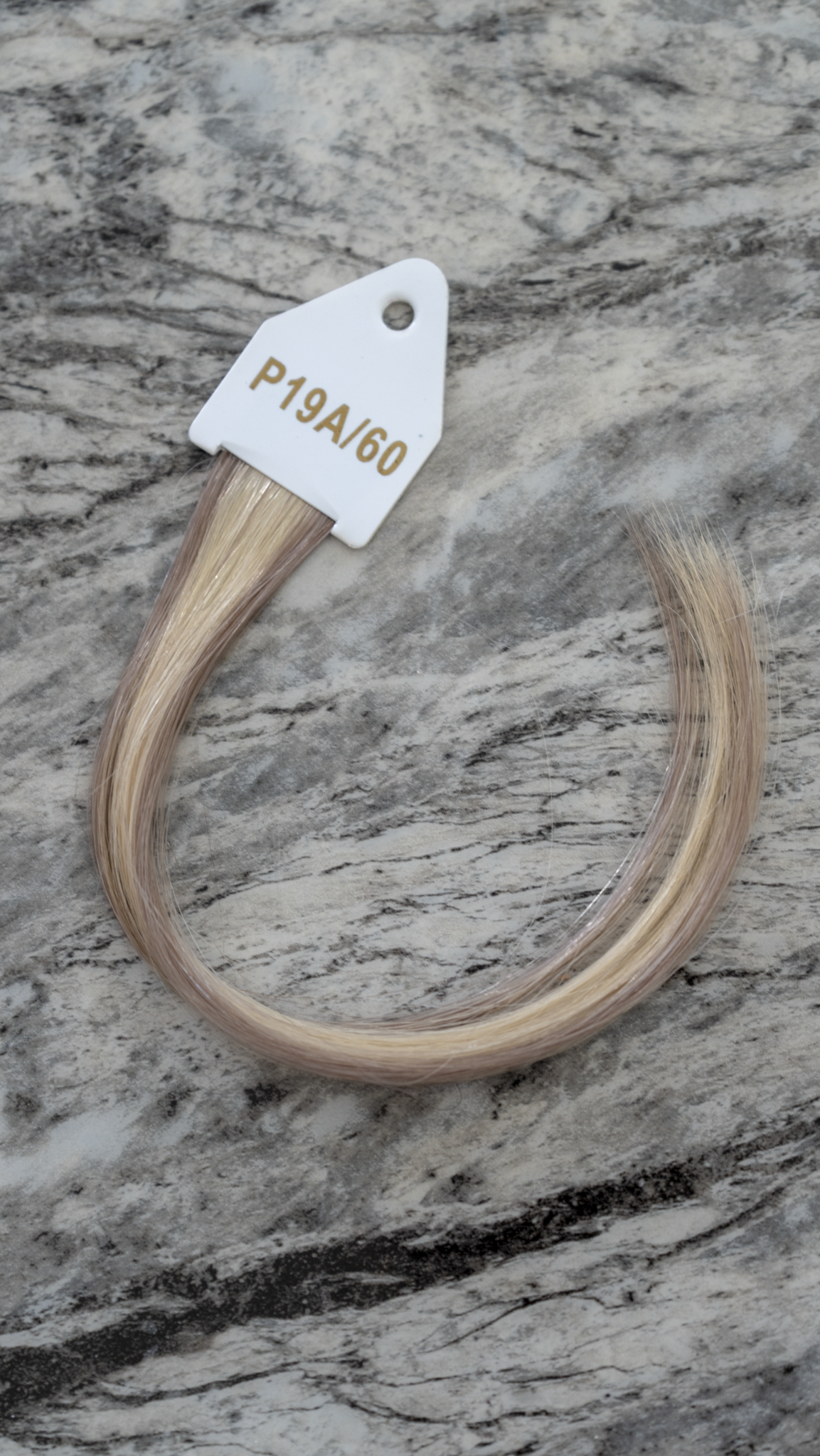 P19A/60